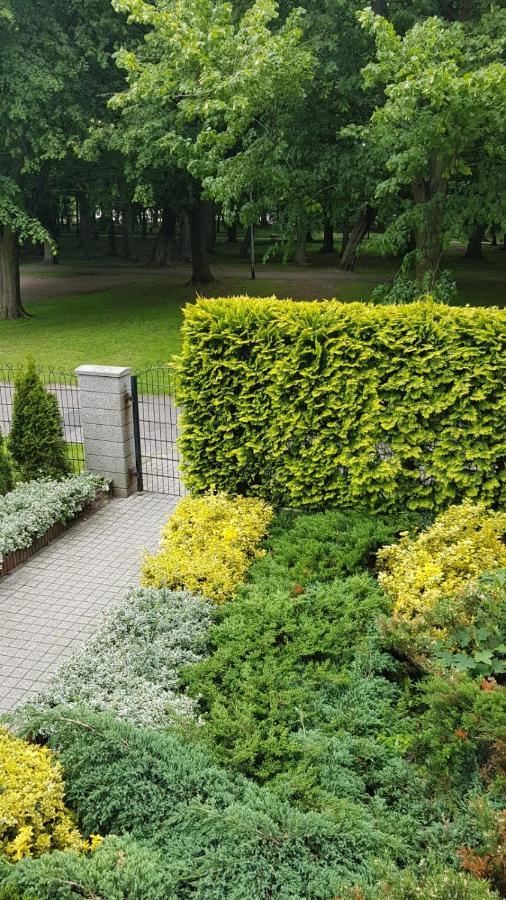 Spacerowa Z Balkonem *